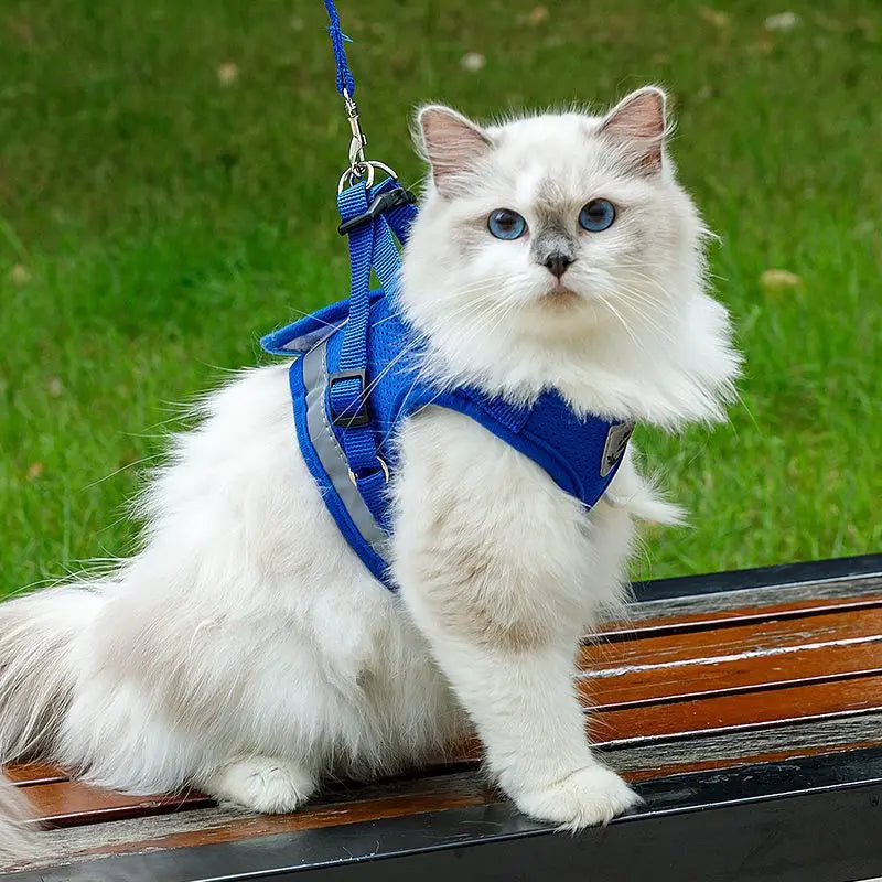 Peitoral com Guia para Cães e Gatos – Ajustável, Respirável e Refletivo