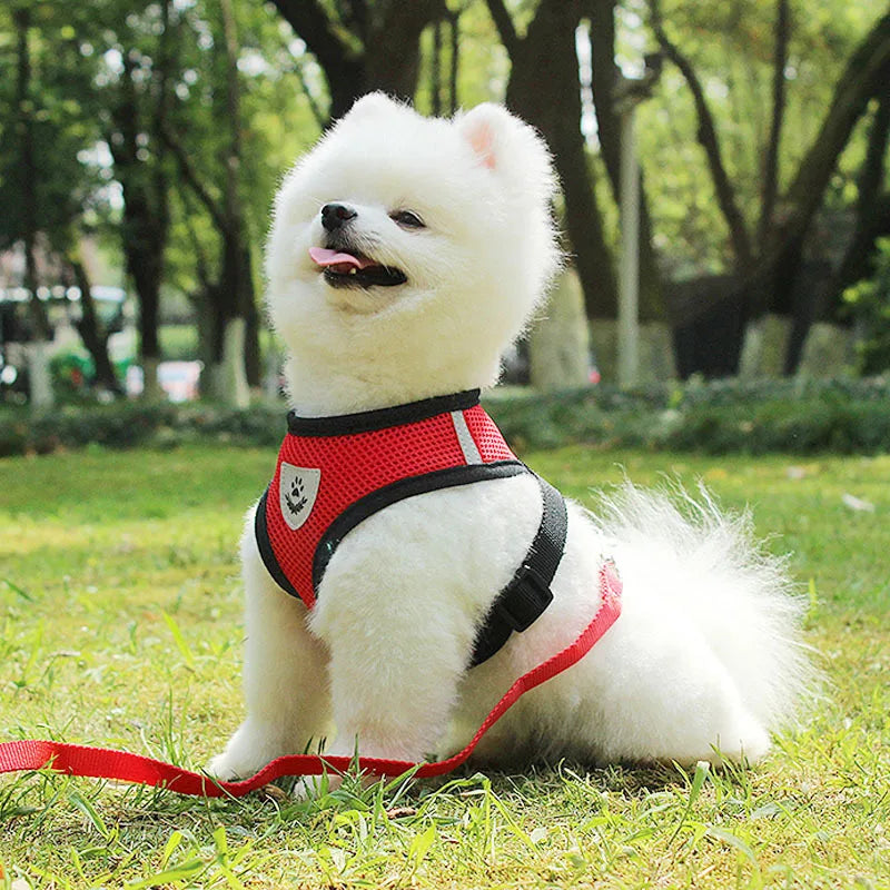Peitoral com Guia para Cães e Gatos – Ajustável, Respirável e Refletivo