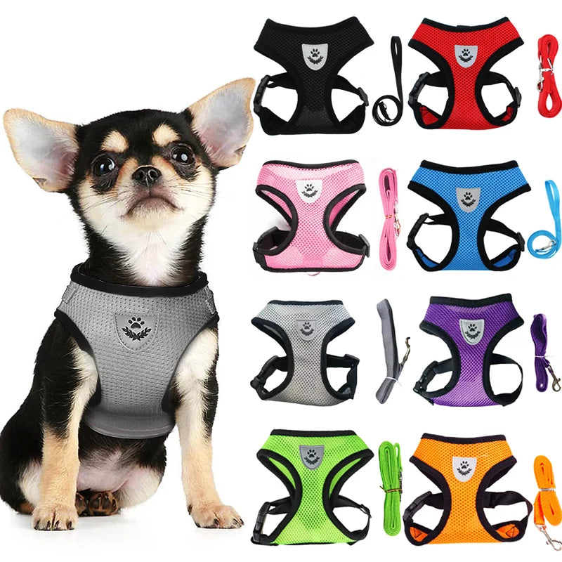 Peitoral com Guia para Cães e Gatos – Ajustável, Respirável e Refletivo