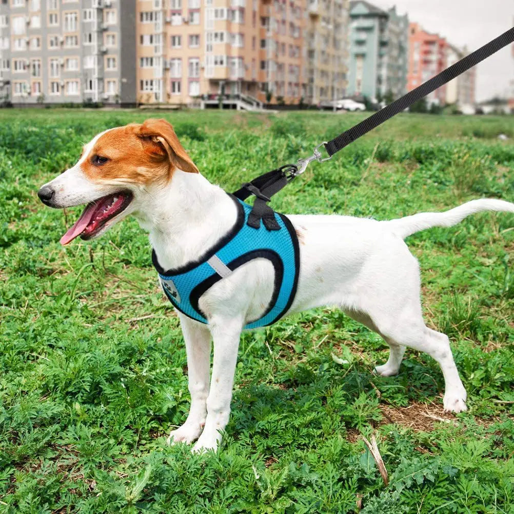 Peitoral com Guia para Cães e Gatos – Ajustável, Respirável e Refletivo